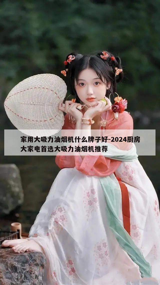 家用大吸力油烟机什么牌子好-2024厨房大家电首选大吸力油烟机推荐