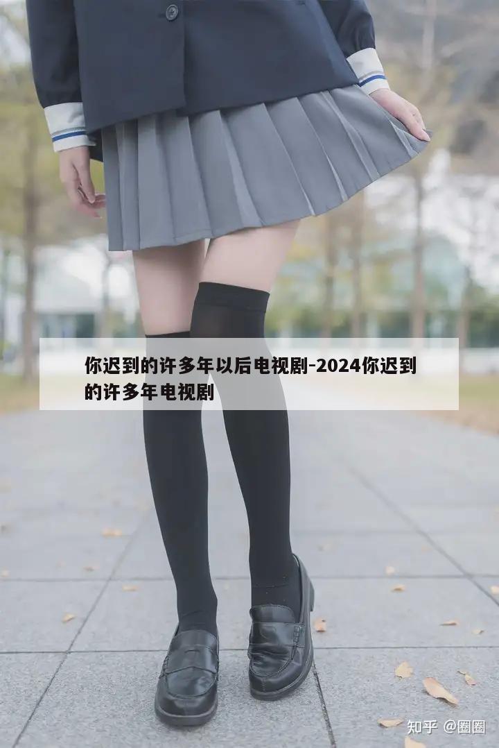 你迟到的许多年以后电视剧-2024你迟到的许多年电视剧