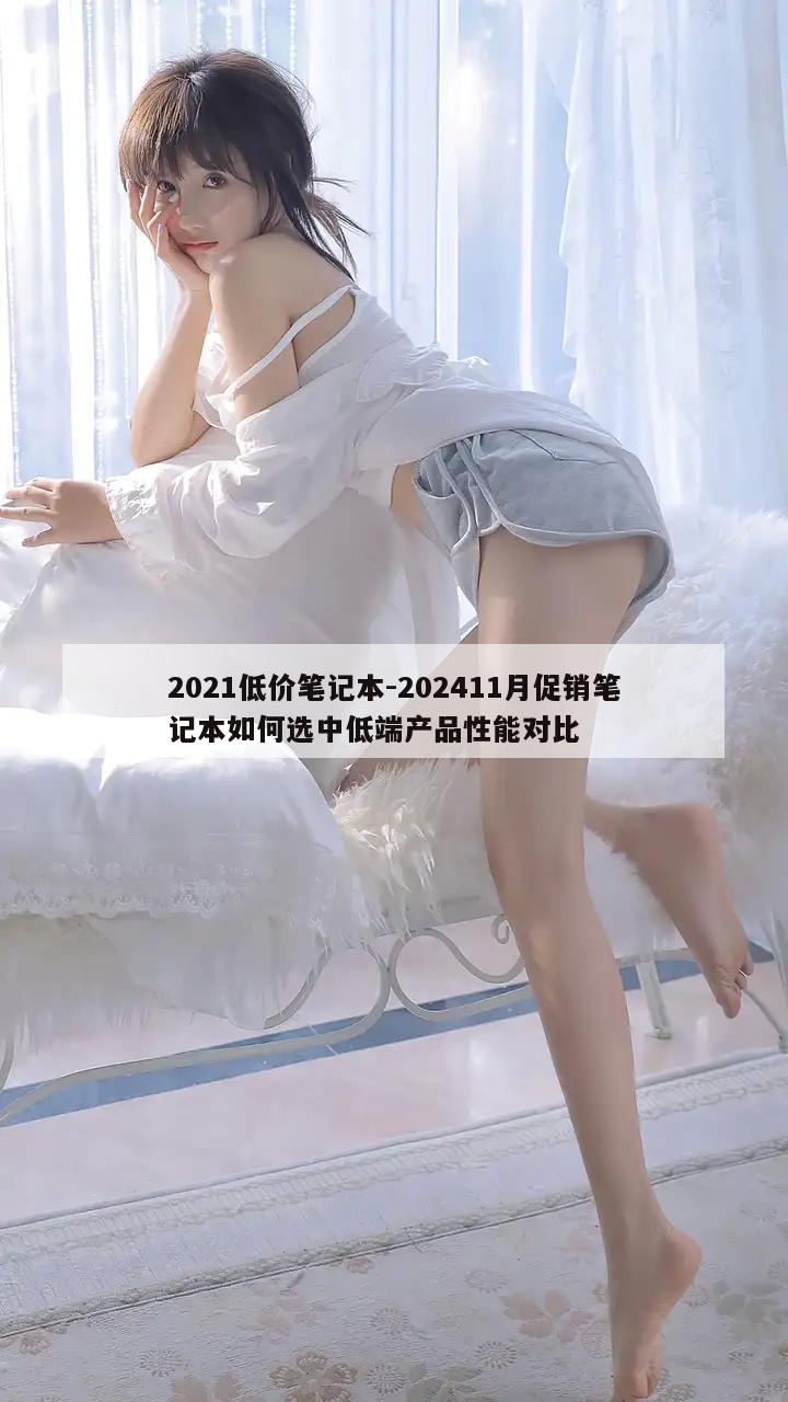 2021低价笔记本-202411月促销笔记本如何选中低端产品性能对比