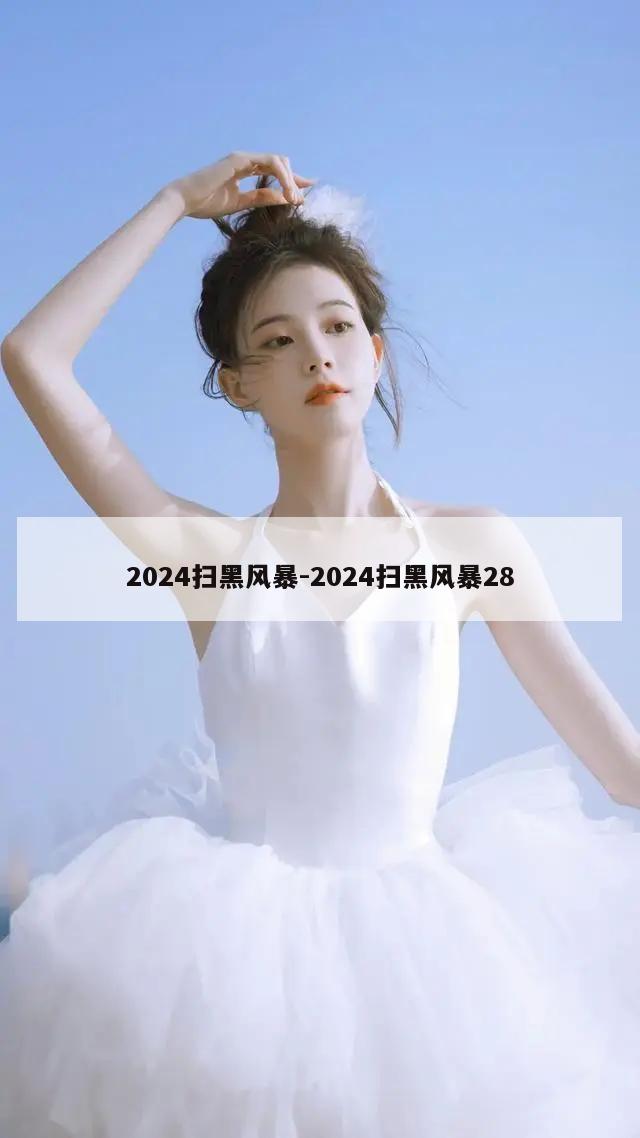 2024扫黑风暴-2024扫黑风暴28