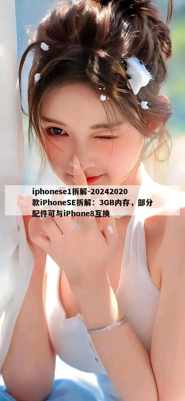 iphonese1拆解-20242020款iPhoneSE拆解：3GB内存，部分配件可与iPhone8互换