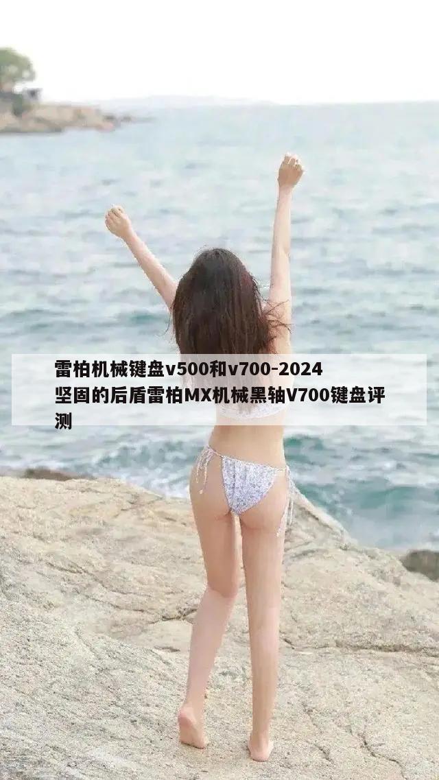 雷柏机械键盘v500和v700-2024坚固的后盾雷柏MX机械黑轴V700键盘评测