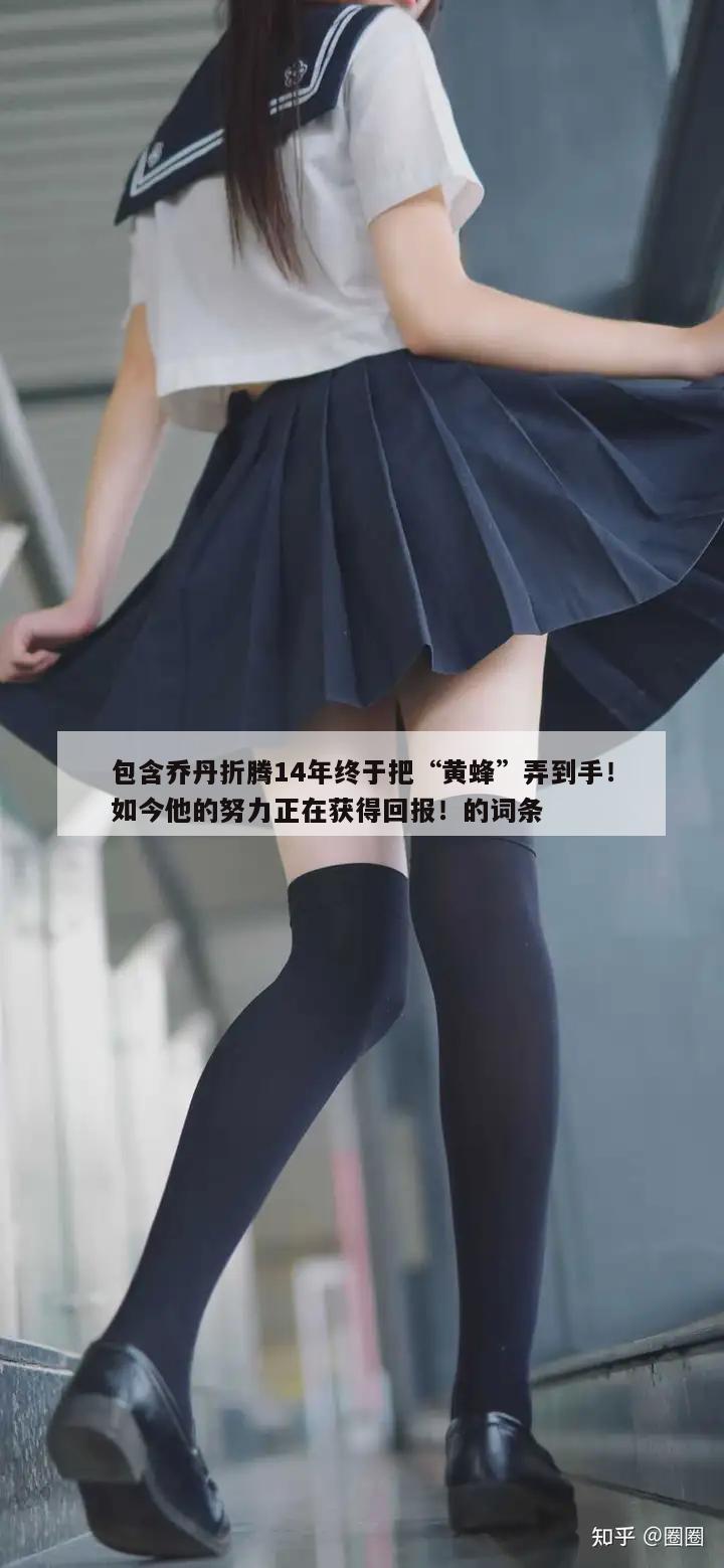 包含乔丹折腾14年终于把“黄蜂”弄到手！如今他的努力正在获得回报！的词条