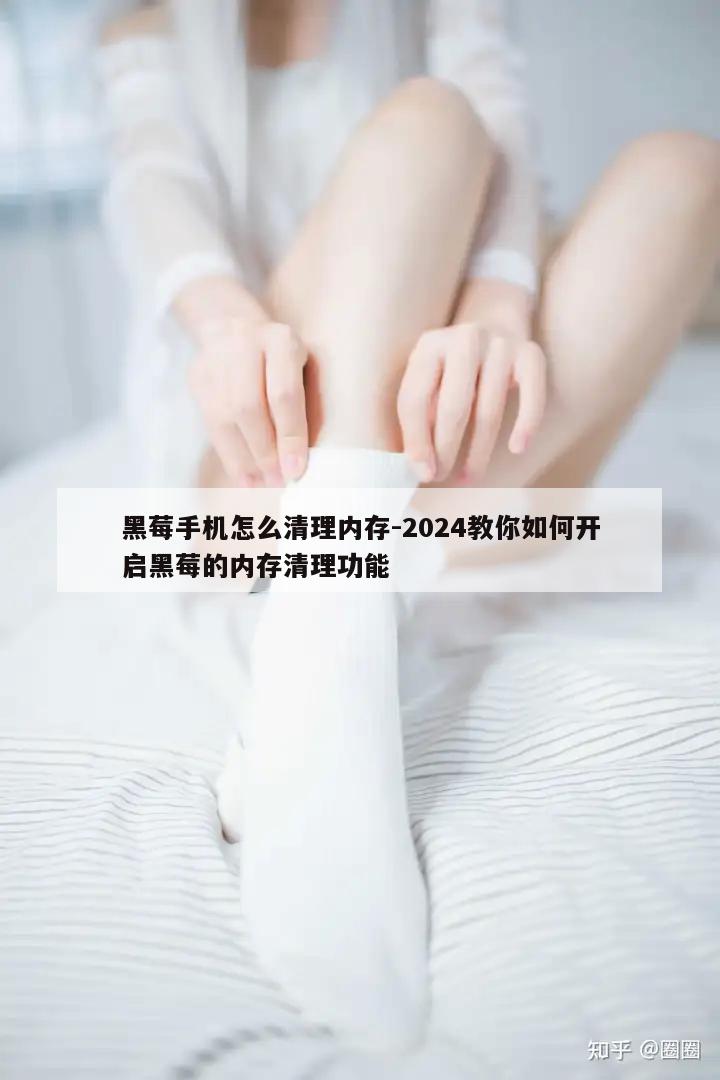 黑莓手机怎么清理内存-2024教你如何开启黑莓的内存清理功能