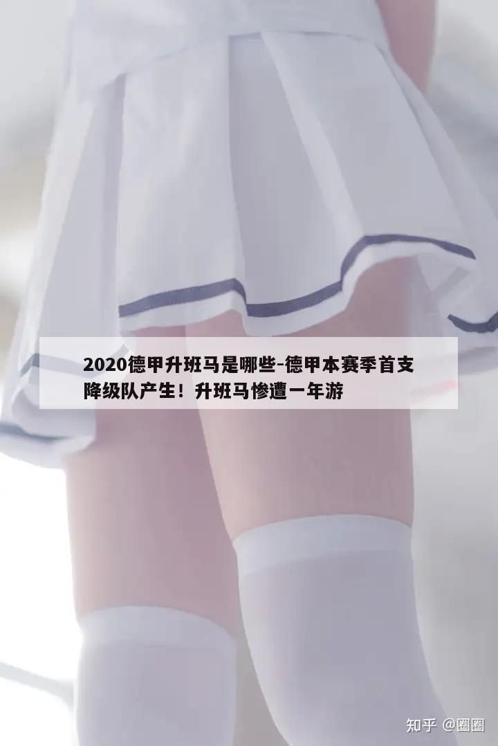 2020德甲升班马是哪些-德甲本赛季首支降级队产生！升班马惨遭一年游