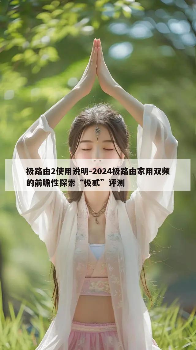 极路由2使用说明-2024极路由家用双频的前瞻性探索“极贰”评测