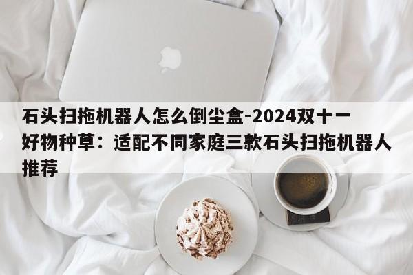 石头扫拖机器人怎么倒尘盒-2024双十一好物种草：适配不同家庭三款石头扫拖机器人推荐