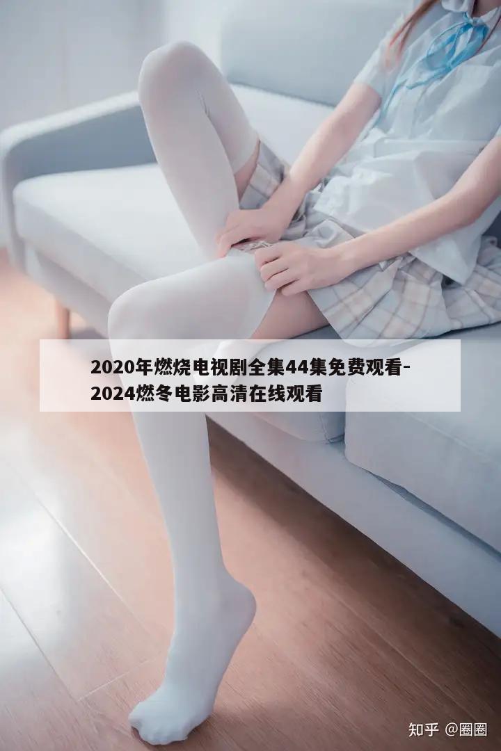 2020年燃烧电视剧全集44集免费观看-2024燃冬电影高清在线观看