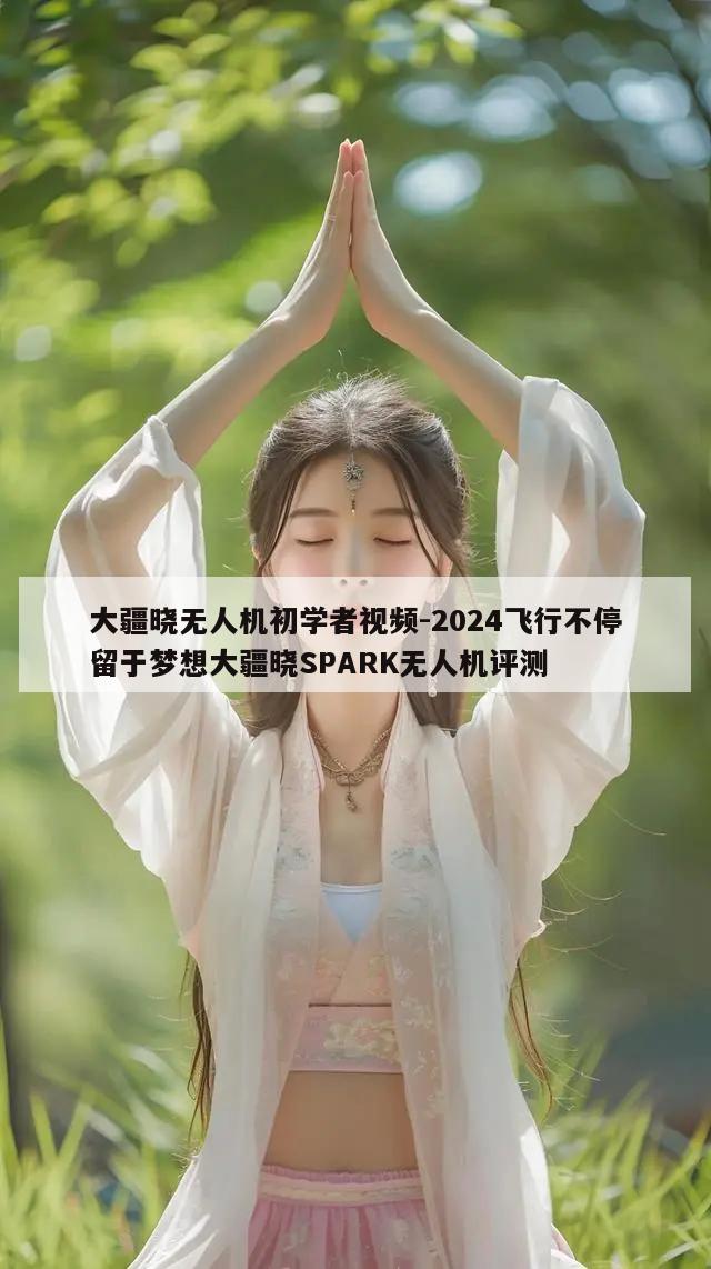 大疆晓无人机初学者视频-2024飞行不停留于梦想大疆晓SPARK无人机评测